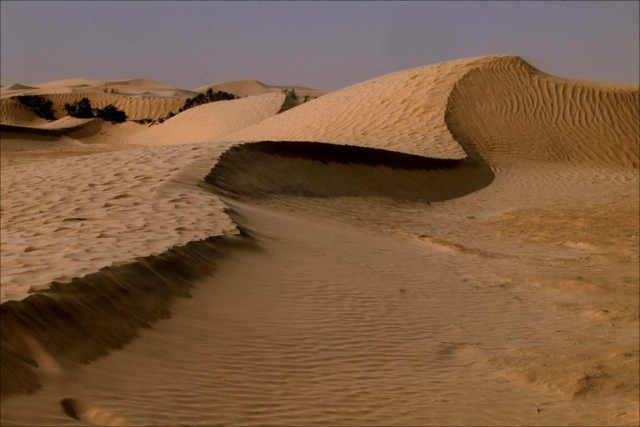 Piesočnatá púšť v Tuninsku